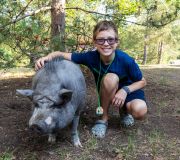 The Positive Impact of Animals At Summer Camp